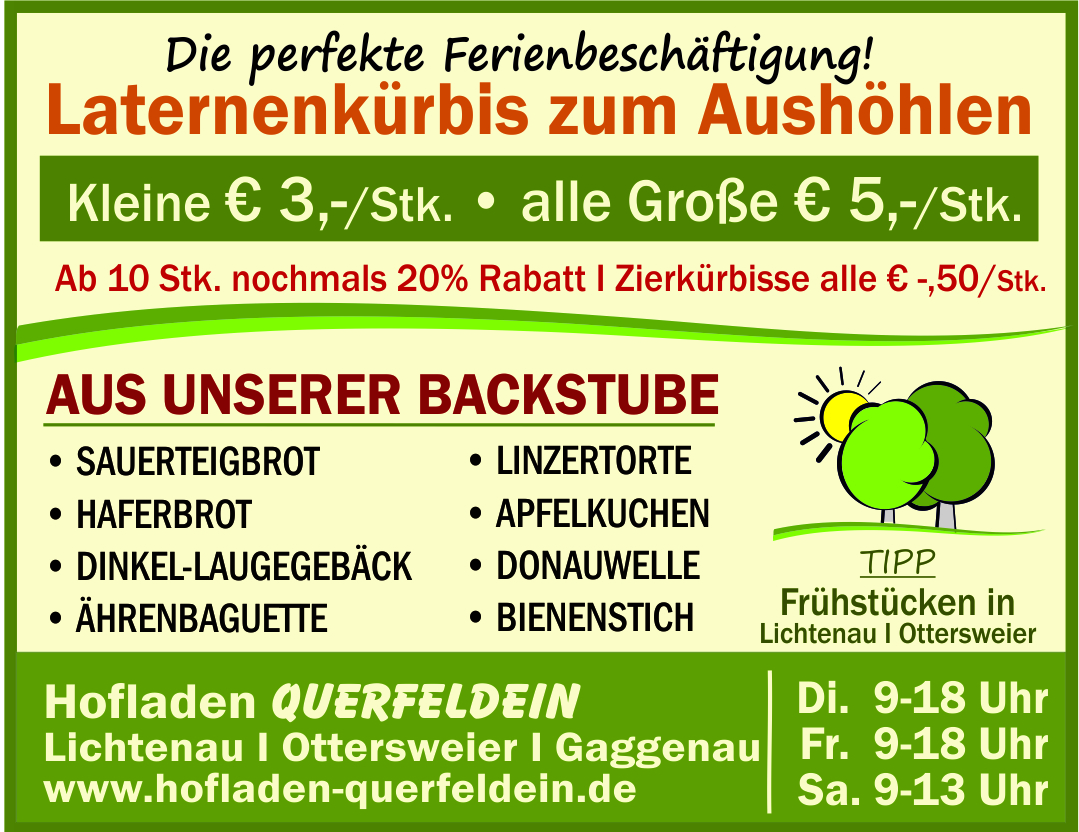 43. Laternenkürbis Angebot